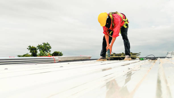 Best Flat Roofing  in Oakdale, MN